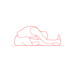 Humans Yoga Poses Head To Knee Forward Bend Pose Tracing Svg Vector, Free Vectors File